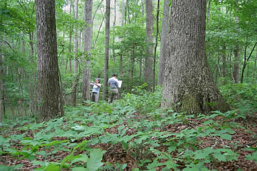 aaronashton77's tweet image. Holy crap!The EPA is protecting the environment,1desk at time!MusiciansUnite
#DefundEPA!! They're stealing Our wood!