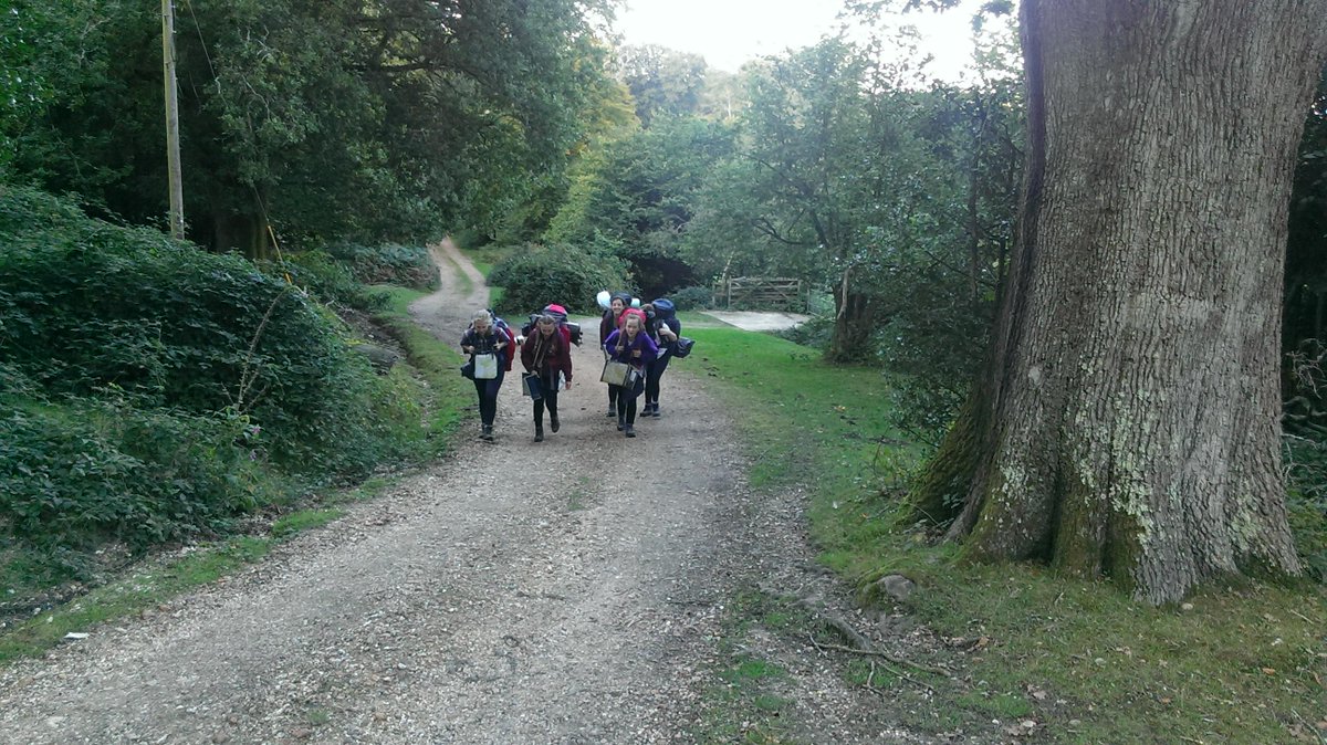 tstcdofe tweet picture