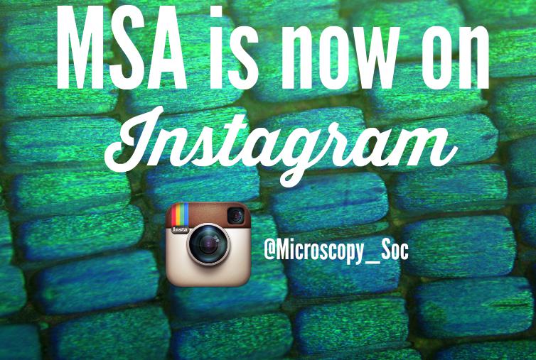 MicroscopySoc's tweet image. We're on instagram! Tag us in your #micrographs, microscope selfies or anything #microscopy! instagram.com/microscopy_soc/