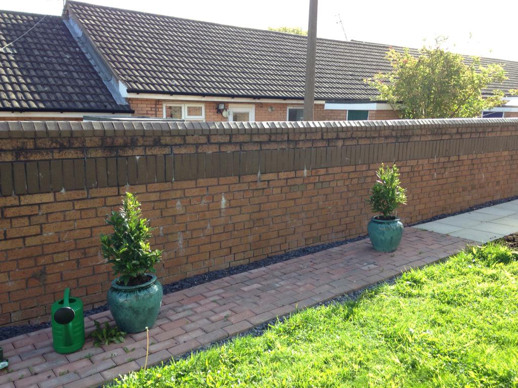 Grow Sow Well tweet media