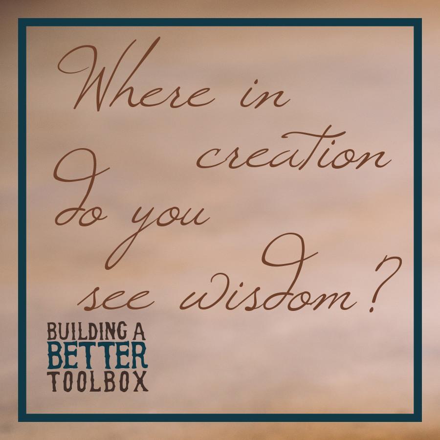 BethlehemTwinCities tweet media