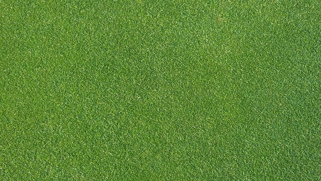 SzymonikJ's tweet photo. 8 days post aeration. 1/4 tines 2 inch spacing.# holganix #foliarpak #contecDG http://t.co/UARDqFivW1