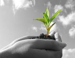 Check out <a href="/FCM_online/">Federation of Canadian Municipalities</a> Action Plan For a Strong Rural Canada. #ruralmatters fcm.ca/Documents/repo…
