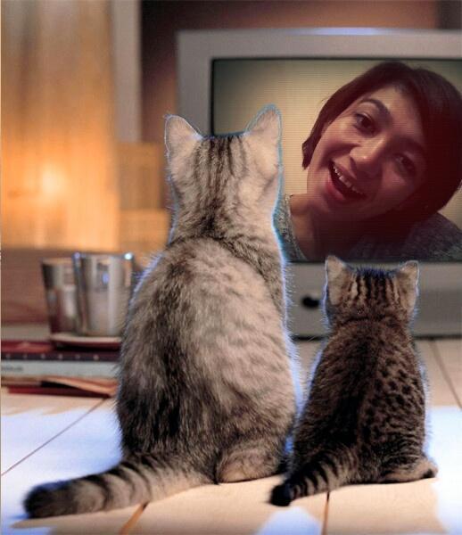 Alam 
Alam 
Alam
Sog'larga alam!
Mening oshiqligim -sog'larga alam!