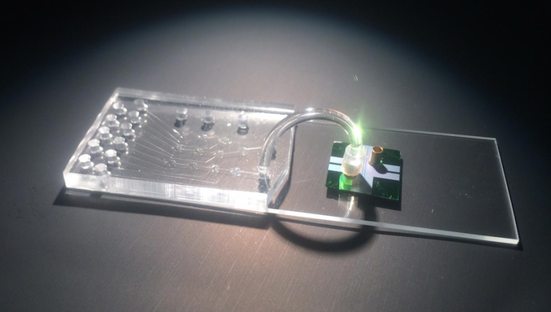 Gizmodo's tweet photo. Ebola chip will help doctors contain future outbreaks: http://t.co/sD4mKO9pGY http://t.co/wwhm52UVTm