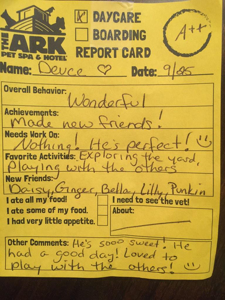 martinaharris03's tweet photo. @taylor_shenese @sydneydenese @CoachJenSewell @torilenese #mydogbetterthanyourdog #firstdaydaycare http://t.co/lqmMGfd3mF