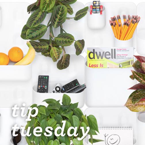 Urbio is great for plants &amp; organization! Try mixing some office supplies, a little greenery, &amp; fruit for a fun look.