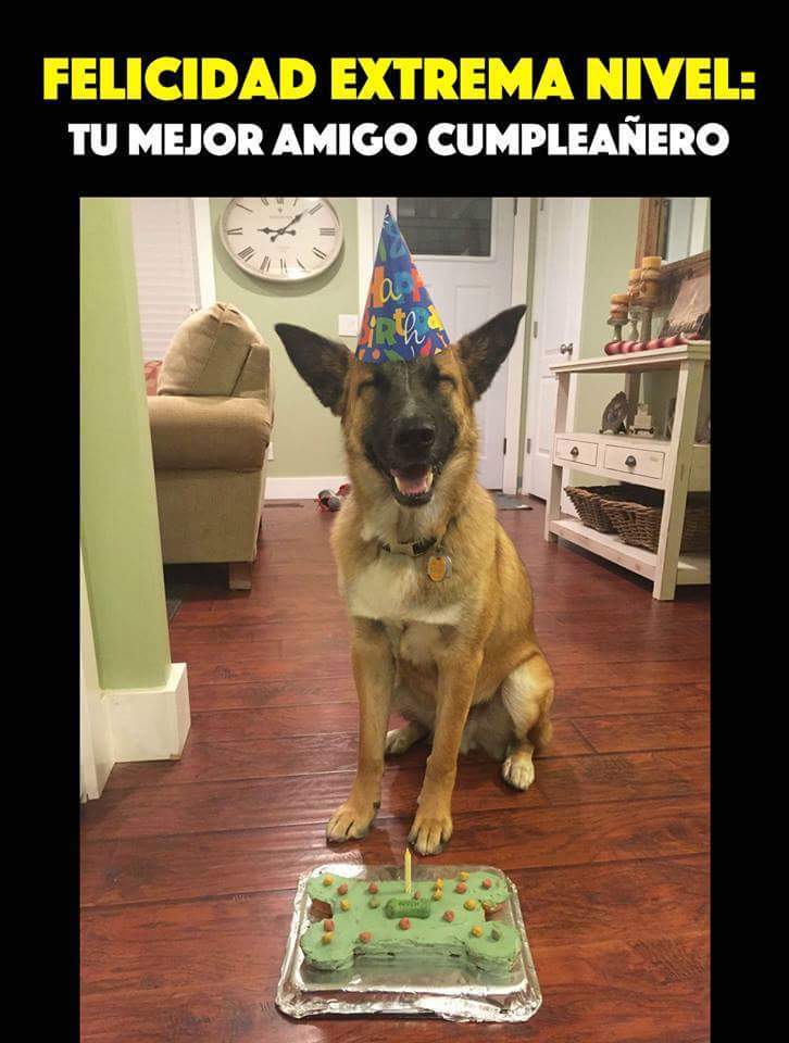 SentidoChistes's tweet image. 