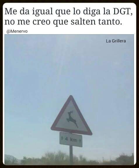 SentidoChistes's tweet image. 