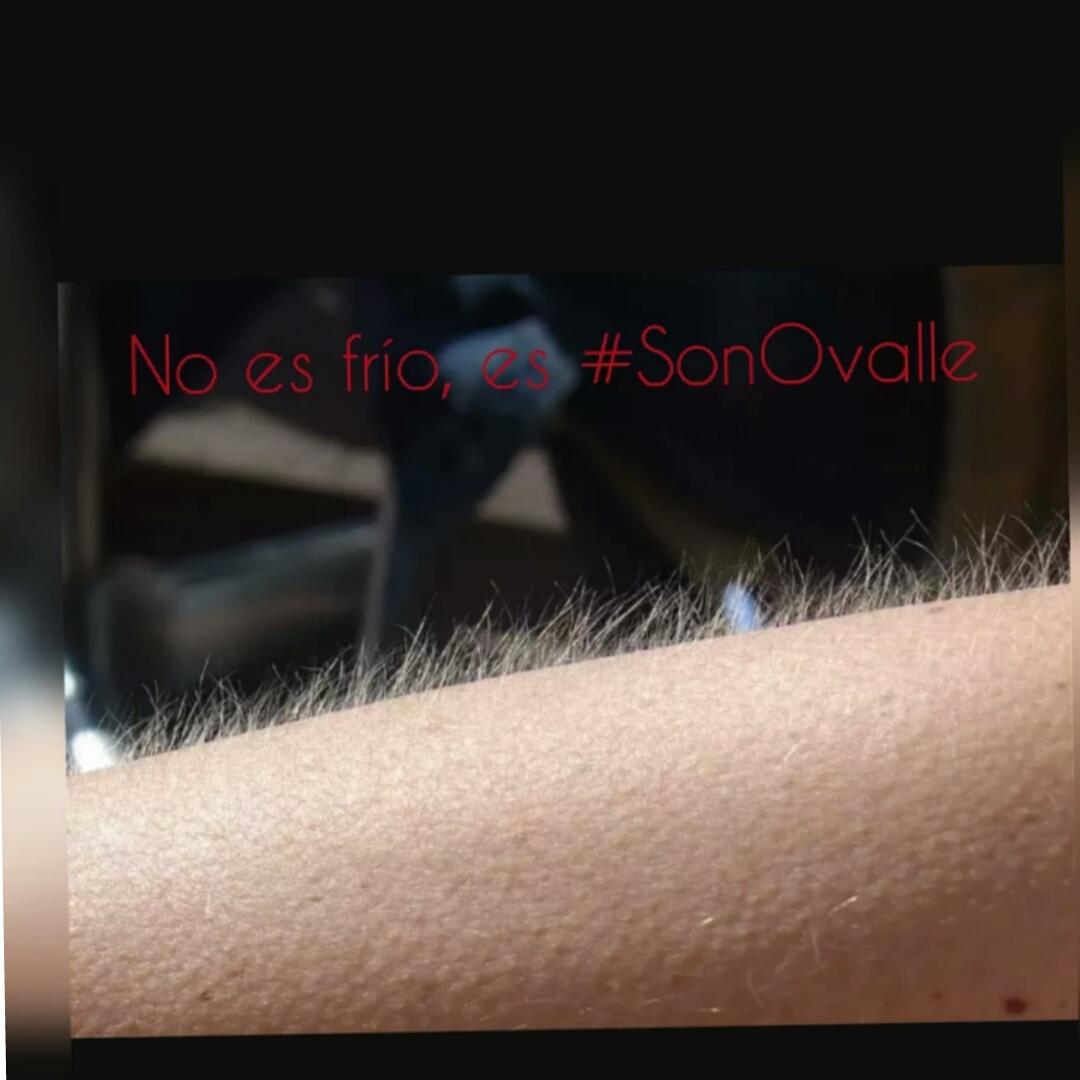 FansOvalleSon's tweet photo. #SonOvalle @MaSilenaOvalle @kellyovalle @MariaJoseOspino @fans_sile #FactorXF @factorxf http://t.co/1asJovE4qR