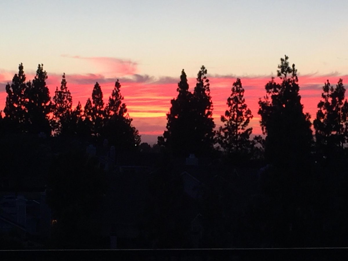 ToddKTLA's tweet photo. Fall colors - SoCal style. http://t.co/VcPIR28lVq