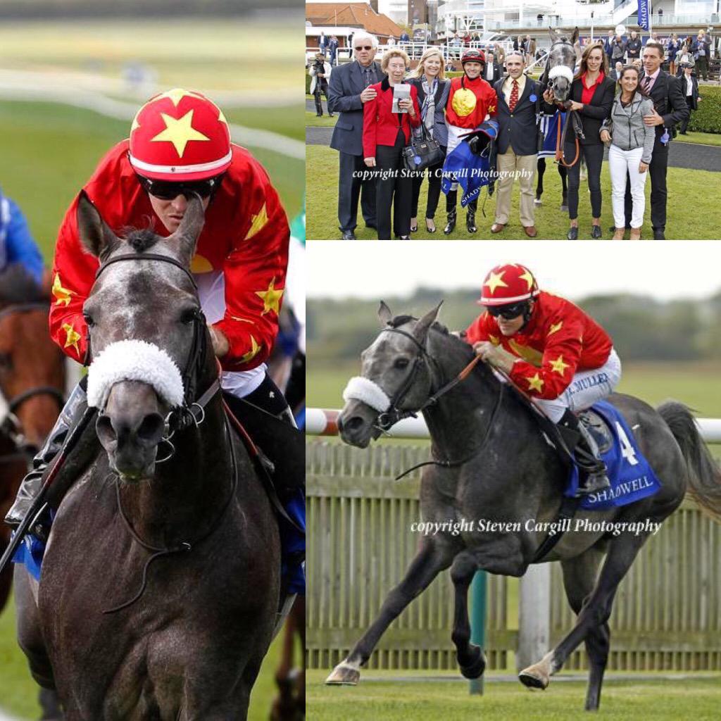 Du Soleil Stud tweet media