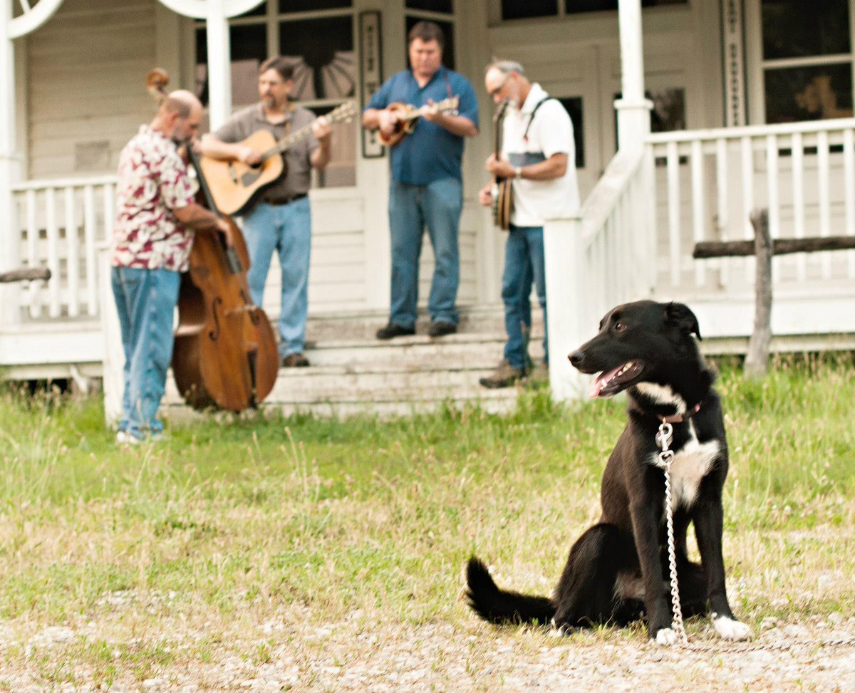 bluegrass_stjoe's tweet photo. Let's get this started! Jed Zeplin is about to kick this off in 30 minutes. #BluegrassStJoe http://t.co/dbZJyVhdhj