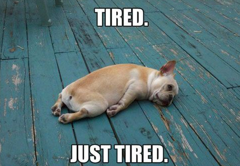 WeAreTeachers's tweet photo. It’s definitely the end of the week! You made it!! #Friday #Teachers http://t.co/ciSwqt7CBf