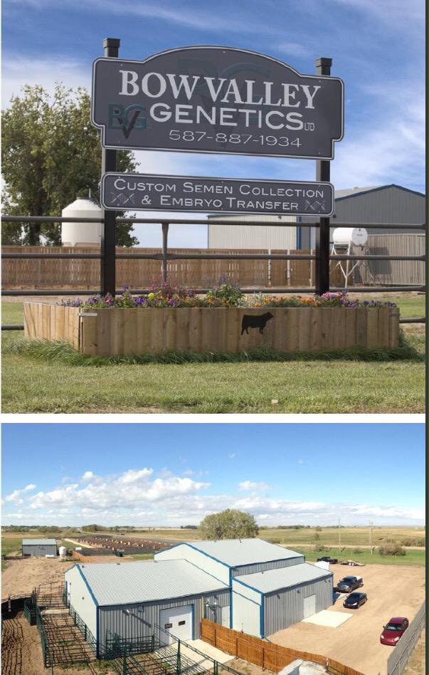 cowvetbalog's tweet image. Interested in beef cattle embryo transfer and IVF look at this article: issuu.com/topstock/docs/… 
@robBVGL @MattKumlin