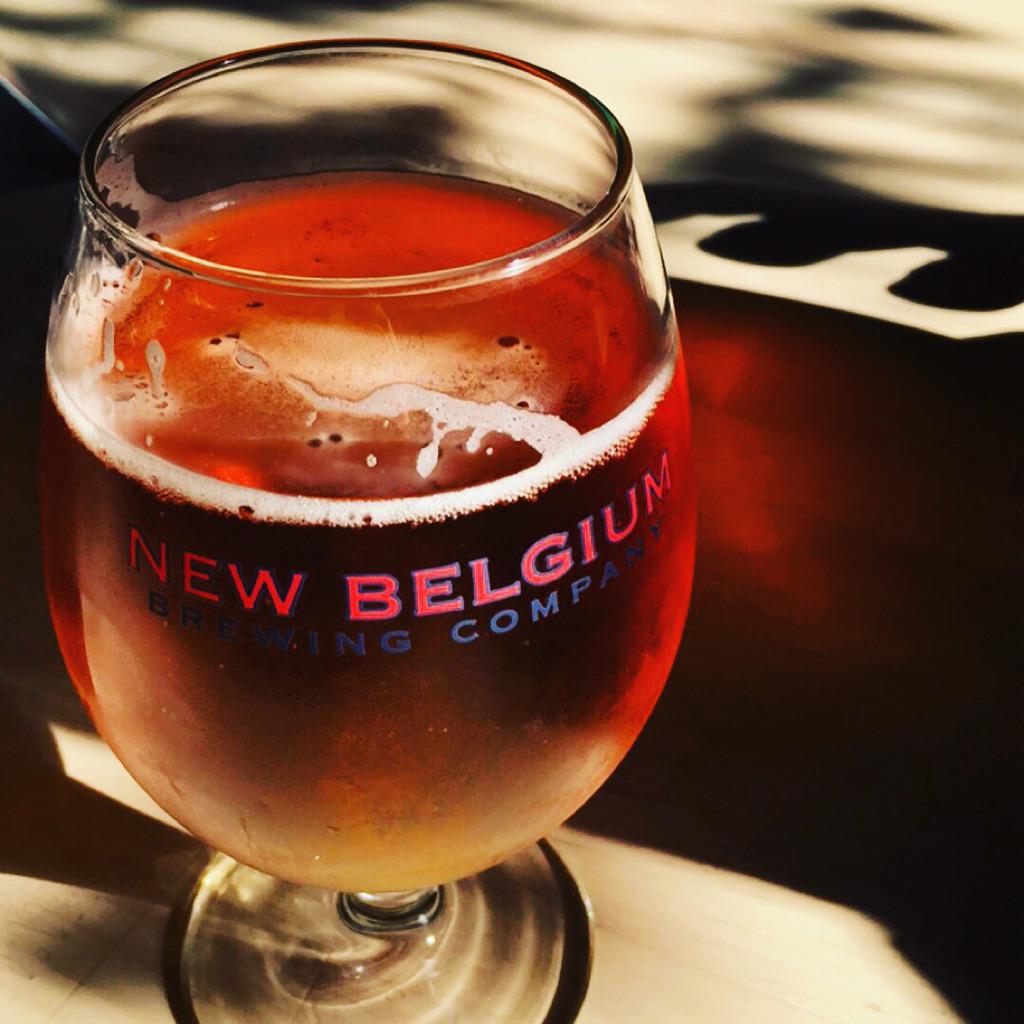 Aarde Cosseboom tweet media