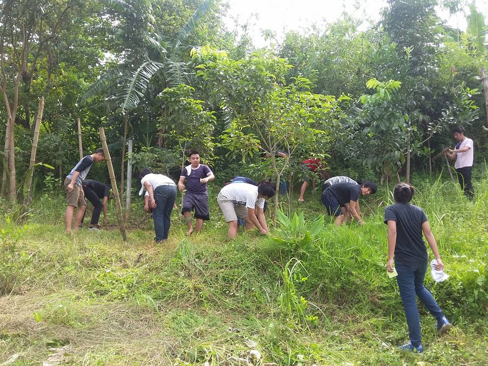 kfcgds's tweet photo. Community cleaning with PWU students joins our #GDS6 from Our Lady of Banneux East-B2! #globaldayofservice http://t.co/YyiWc1wDdj