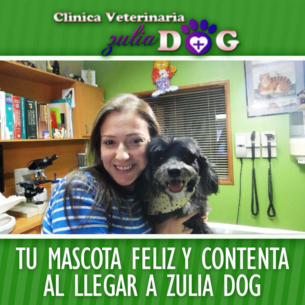 ZuliaDog's tweet image. En Zulia Dog siempre estamos dispuestos a ayudar y atender a tu mascota tal y como se lo merece. 

¡¡Visítanos ya!!