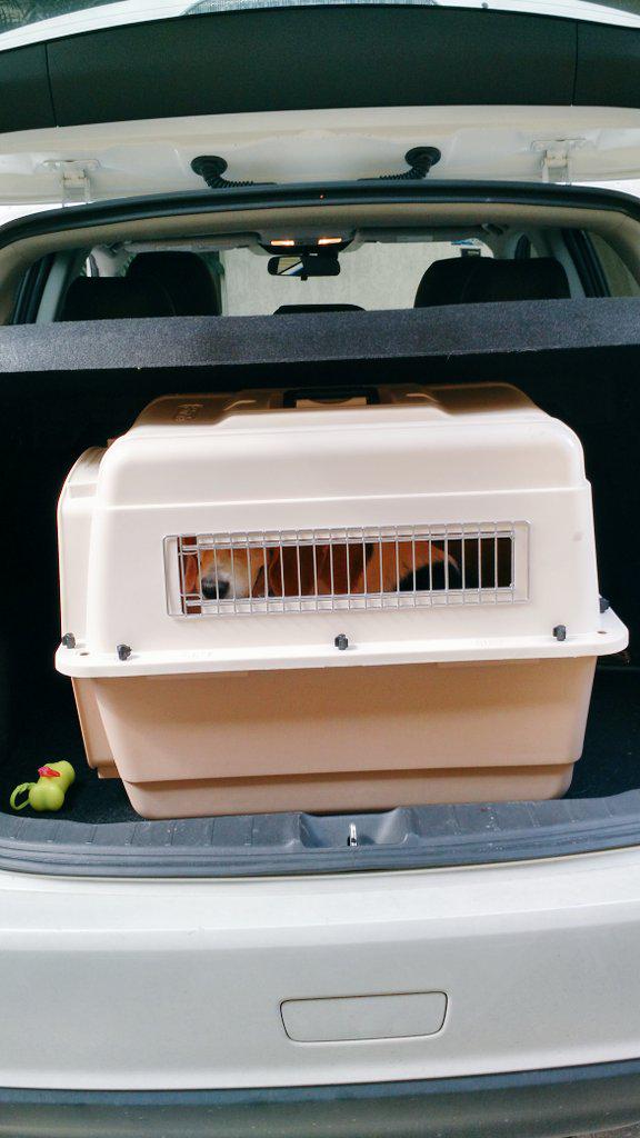 Al retiro de puntos! Ya quiero  lucir mi nueva cicatriz por toda la colonia 💉🔪🏥 #RetírameThis #WhoTookMyUterus