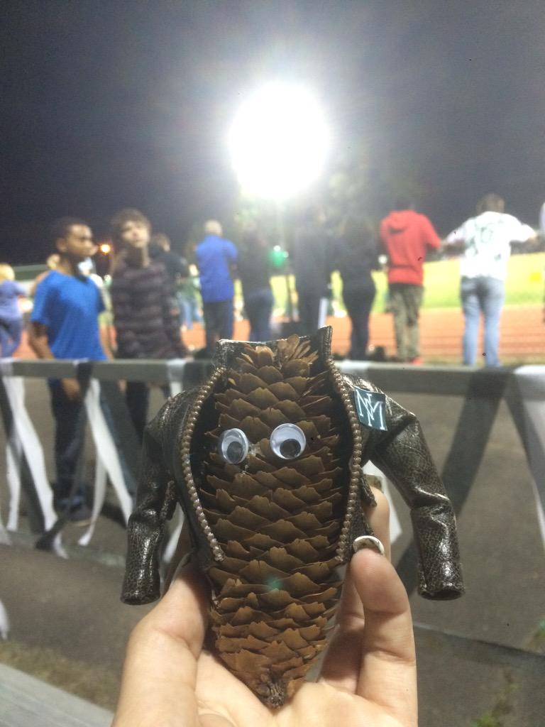 PineyCone's tweet photo. Tonight I went to my first football game, the fans were a tad scary with their screaming &amp; we lost #notsuchapinenight http://t.co/HDun4XlrxH