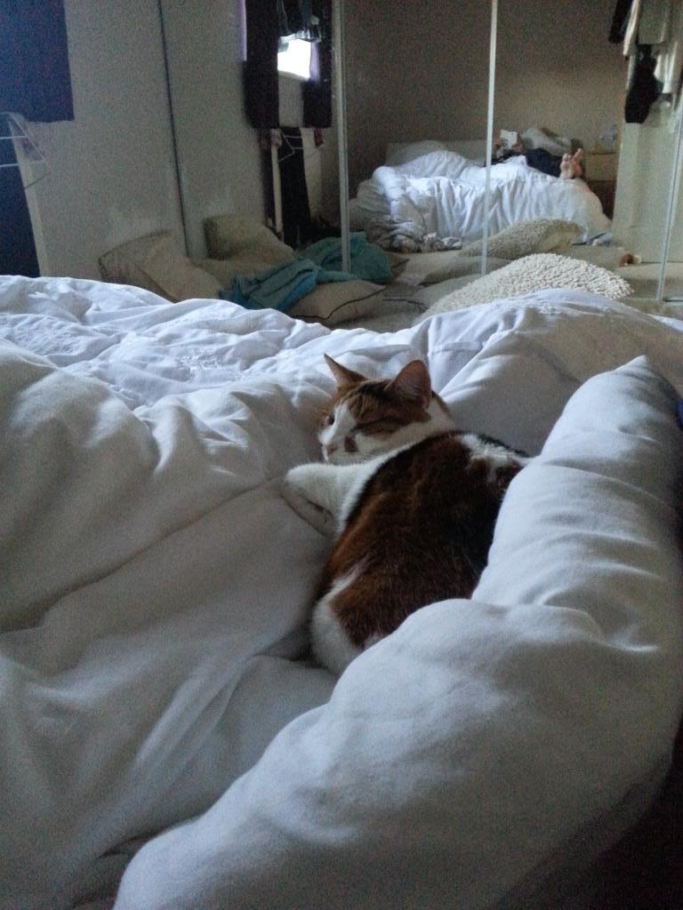 washer69's tweet image. Tupac taking up half the bed