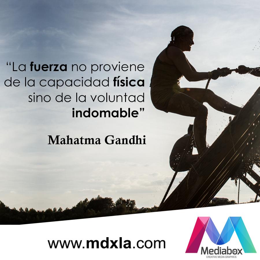 Mediabox (mediaboxla) Twitter