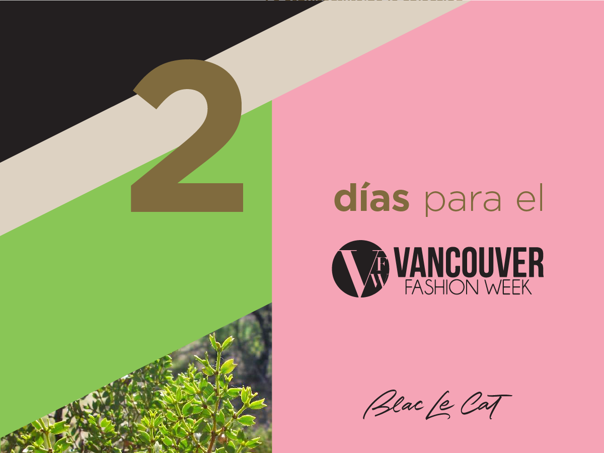 blaclecat's tweet photo. @blaclecat #VanFashionWeek @VanFashionWeek #blcvanfashionweek http://t.co/iIrNWuEb4k