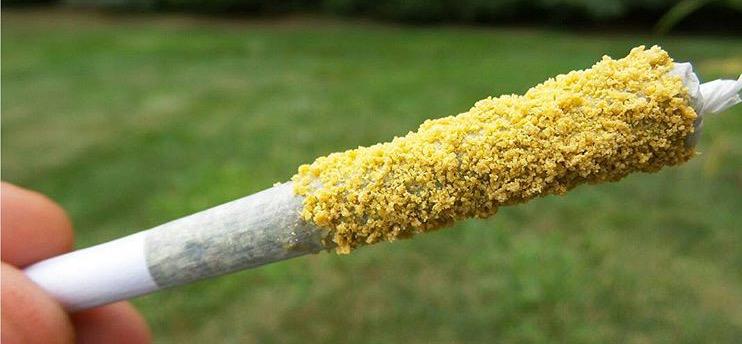 Weedpics_'s tweet photo. Fav if you need this right now. http://t.co/PQtIn4tm3y