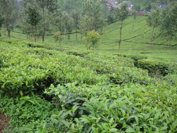 صباحك رحمة ..
يا محب ربي .. قل معي :
ربّ اغفر لي خطيئتي يوم الدين ..