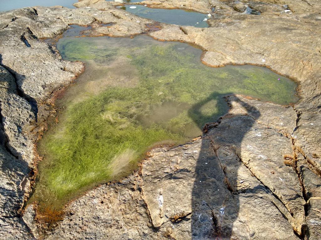 Saurav_Paul's tweet image. A #naturemap  Somewhat undivided #India #mapofindia @GoogleMapsAPI @GoogleTravel