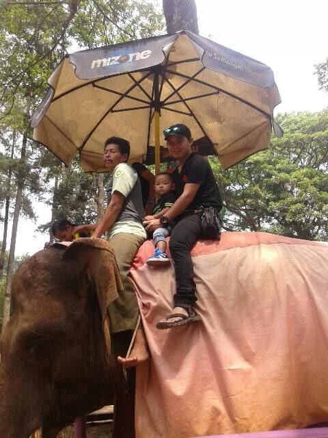 Peris tiwa yng sangat membuat ku kaget ,skaligus berteriak,,dimana  muhdaffa di roeg monyet..hayang seuri tungtung na