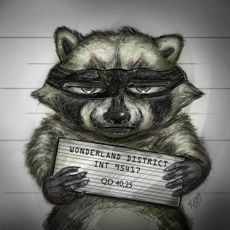 Енот бандит картинки