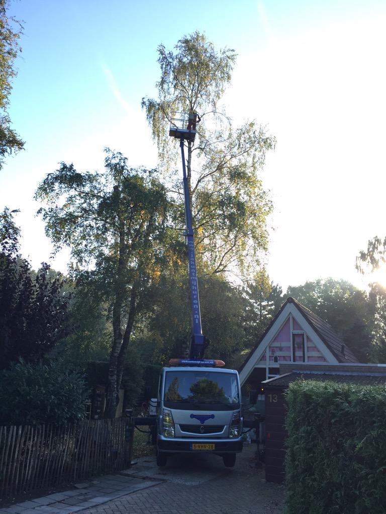 Goedbomenrooien's tweet photo. Voorthuizen - Het snoeien van 2 berken bomen. Met behulp van een hoogwerker. Meer info ? http://t.co/d6sYboA2fJ http://t.co/Lf6beSmyma