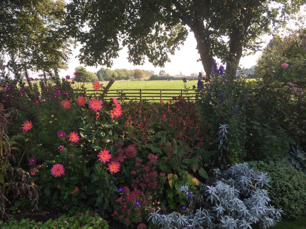 The Coach House tweet media