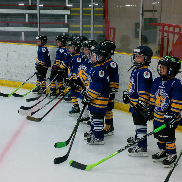 sirk_25's tweet photo. Hey @Raven_Hockey #RavenSpotting x3 with the #FMMHA initiation team 2 Tigers in #ymm http://t.co/fAIQMcZsZd