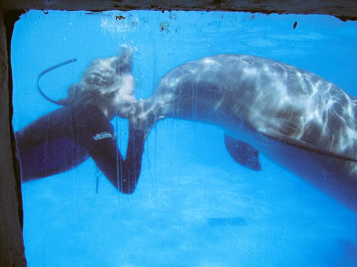 SoulAllie's tweet image. Reminiscing. Every day is still painful. #LiveYourTruth #Blackfishistrue #TransparencyPlease #TruthWillSetThemFree