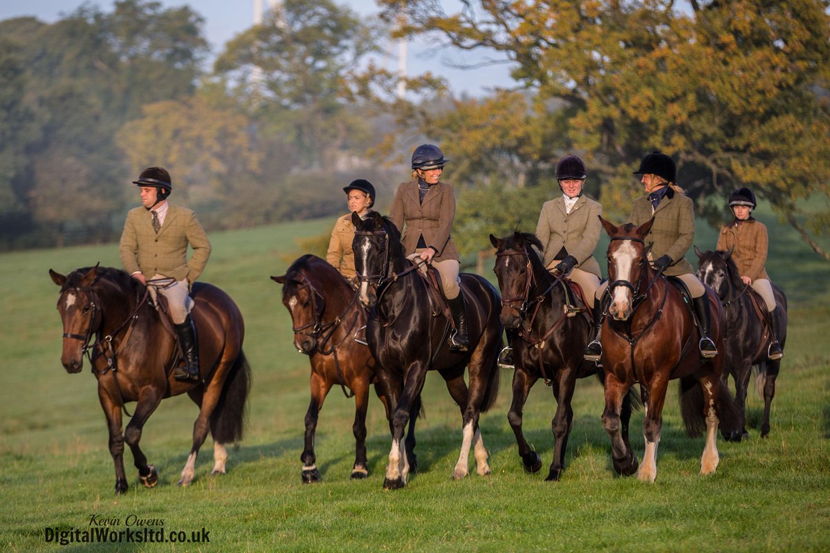 Gsxr1000UKKO's tweet photo. Braes of Derwent Hound Training @CAupdates @CAjilly @horseandhound @keephunting_
#hunting #hounds #ryanmania http://t.co/nJwIL8Mnuu
