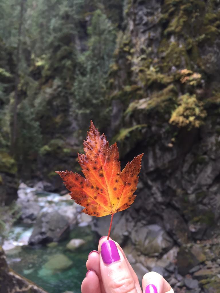 MissStylerun's tweet photo. Oh Canada! 🍁🇨🇦😉 Day 1/3 of our BC Roadtrip. 1st stop: Othello tunnels in Coquihalla Canyon Park in Hope 🌟  #explorebc http://t.co/exYPe0eEnO