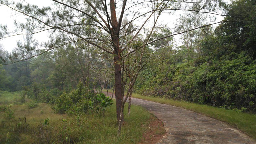 renozero's tweet photo. Trek lari kita yg baru mah sejuk dan hijau..asal ga bnyak asep aja kalo pagi #sekupang #batam http://t.co/DMZM89A8Yi