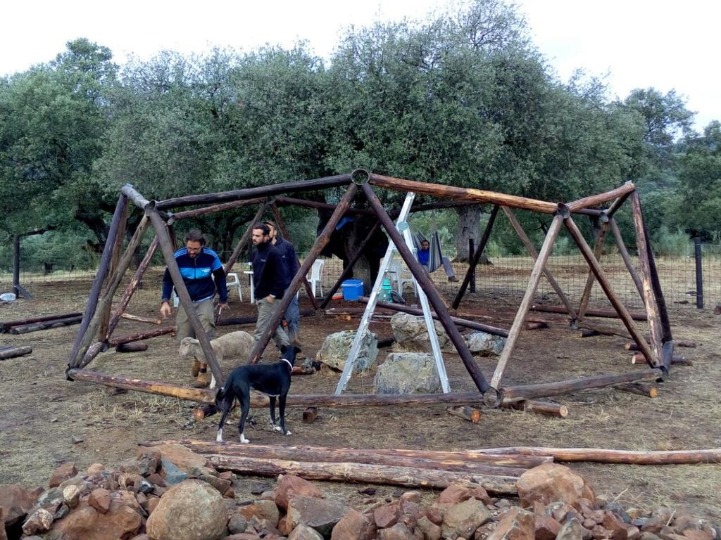 LFdTV's tweet photo. #NeoChozo Cupula geodesica para cubrir el chozo. Primer anillo terminado. Tecno-rural. #Salvaleon http://t.co/OrVCTXdFNs