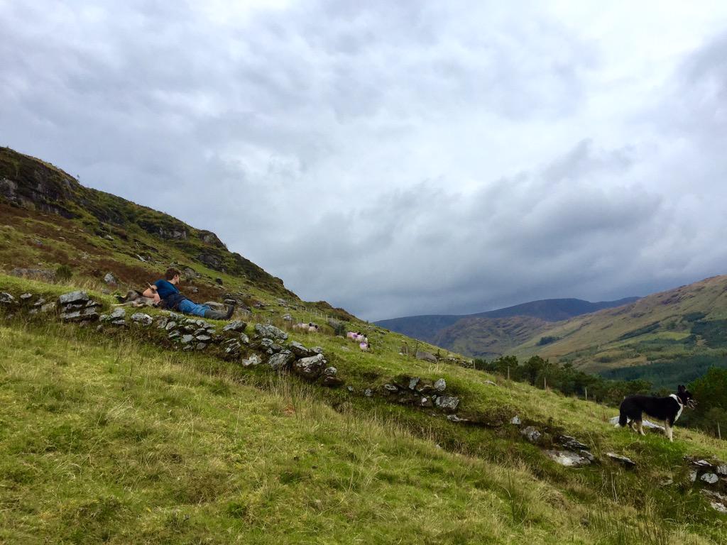 Autumn colours #sheep #farming #CahaMountains