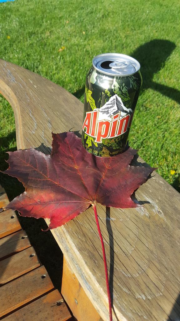 dalemorton's tweet photo. @alpinelager - finally Camo time in Ontario! #camotime #Alpine http://t.co/hLe6G8KD4f
