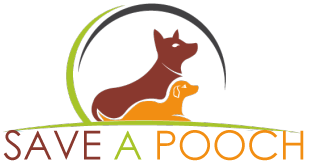 mytalkpix's tweet image. Find out what Talkpix Pooch Cam is fanrewardsnetwork.com/index.php?opti… #poochcam  #saveapooch #shelterdogs