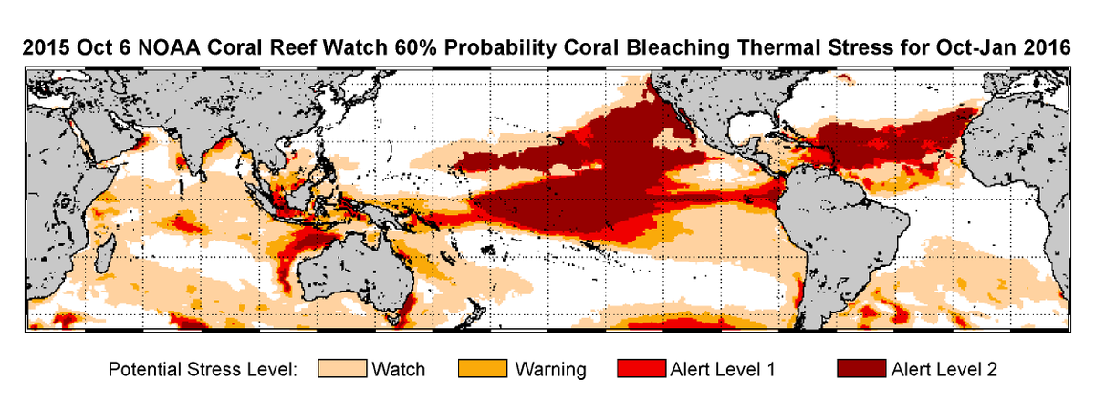 Revkin's tweet photo. .@NOAA declares global reef bleaching event: http://t.co/IbxwplwxHW Conserve herbivores! http://t.co/ntzx4FOg64 http://t.co/4dFlhfOltM