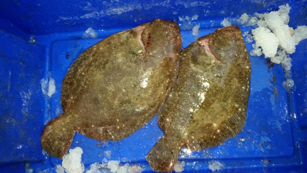 Murray's Fresh Fish (@MurraysFish) | Twitter