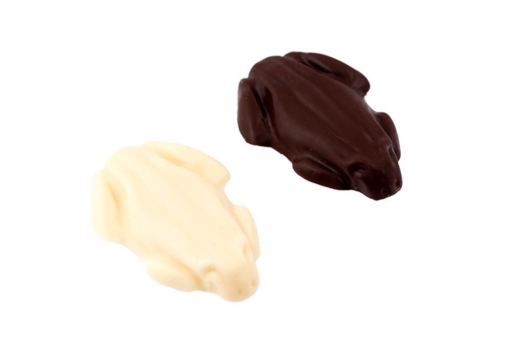 BoutiqueChoc's tweet photo. Which little frog would you choose? #decisions #milkchocolate #whitechocolate #toohard #haveboth http://t.co/SULi85eQGJ