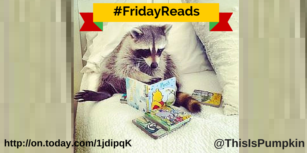 #FridayReads topic <a href="/PillarStrength/">Pillar of Strength</a> is usually about reading today on.today.com/1jdipqK it is about a #racoon!