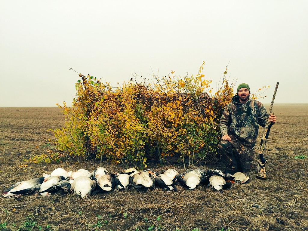 ttwa13's tweet photo. Last weekend limited out on darks and headed for breakfast by 8:30! #Beretta #hunting http://t.co/9w6C5RRclN