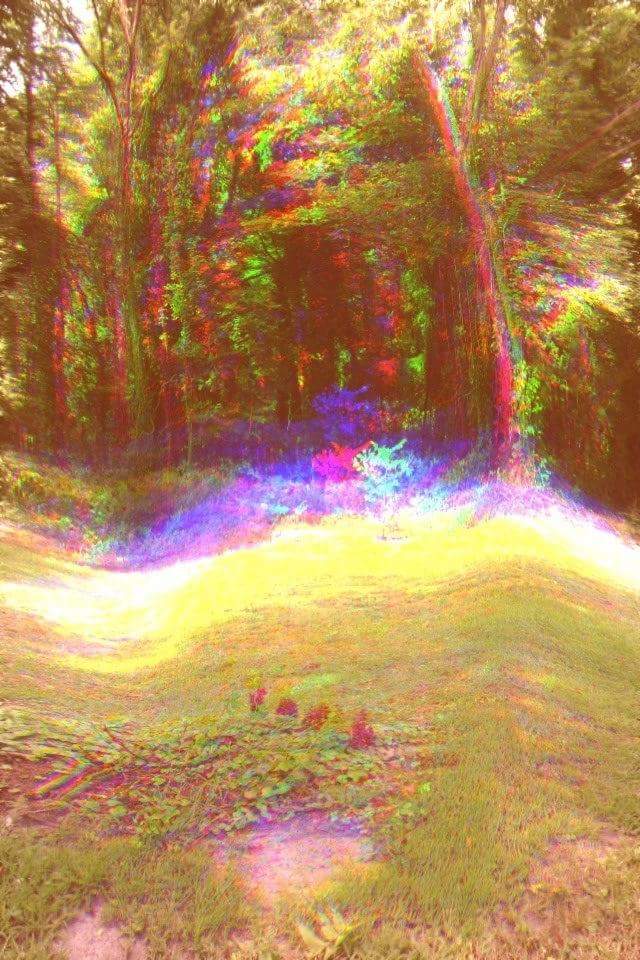 TraPeace's tweet image. 