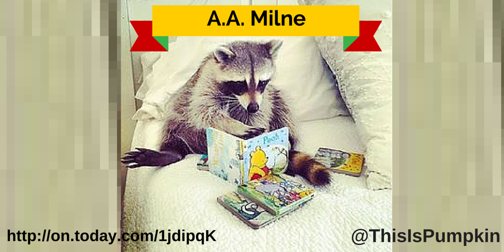 #NationalPoetryDay brings out a fan of A.A. Milne on.today.com/1jdipqK a rescued #raccoon! We love animals!!